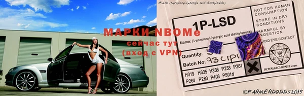 прущие крисы Балахна