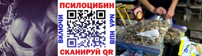 MEGA ТОР  даркнет сайт  Бавлы  Галлюциногенные грибы мицелий 